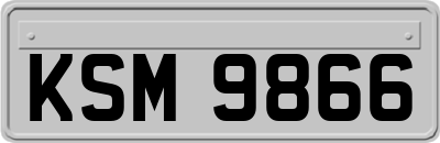 KSM9866