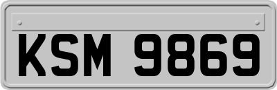 KSM9869