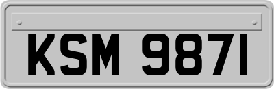 KSM9871