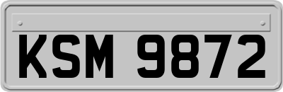 KSM9872