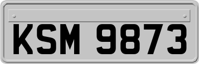 KSM9873