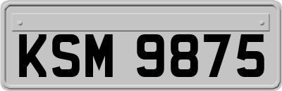 KSM9875