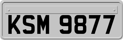 KSM9877