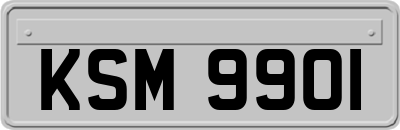 KSM9901