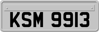 KSM9913