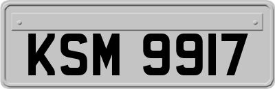 KSM9917