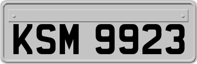 KSM9923