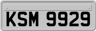 KSM9929