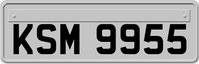 KSM9955