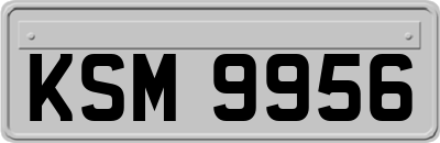 KSM9956