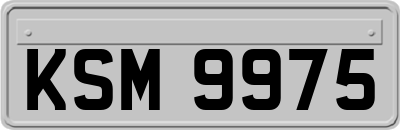 KSM9975