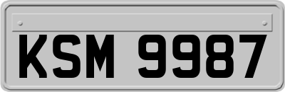 KSM9987