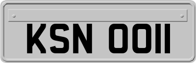 KSN0011