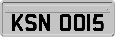 KSN0015