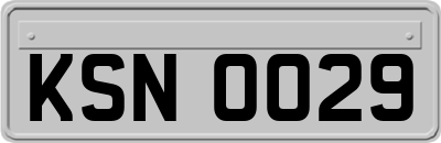 KSN0029
