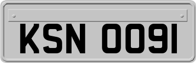 KSN0091