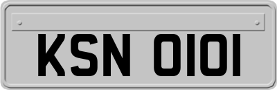 KSN0101