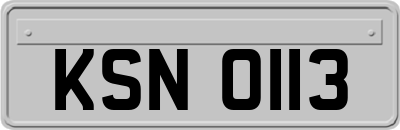 KSN0113