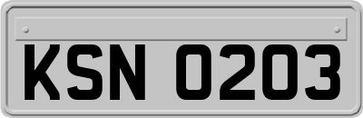KSN0203