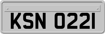 KSN0221