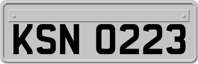 KSN0223
