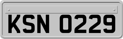 KSN0229