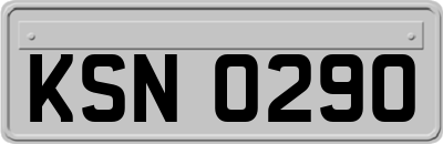 KSN0290