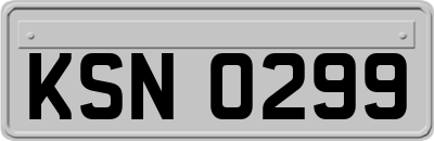 KSN0299