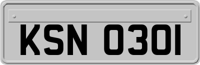 KSN0301