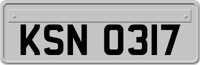 KSN0317