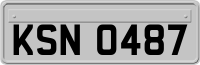 KSN0487