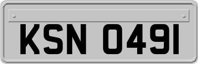 KSN0491