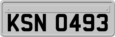 KSN0493