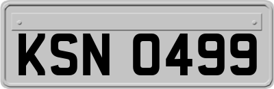 KSN0499