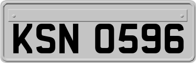KSN0596