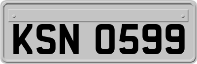 KSN0599