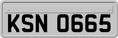 KSN0665