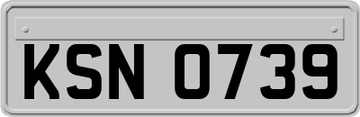 KSN0739