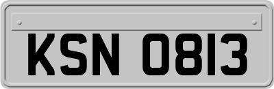 KSN0813