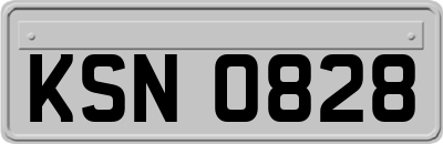 KSN0828