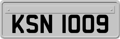 KSN1009
