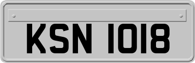 KSN1018