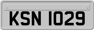 KSN1029