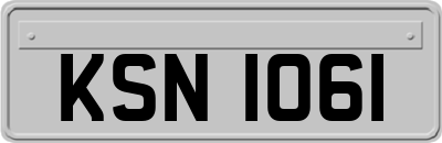 KSN1061