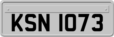 KSN1073