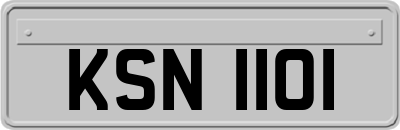KSN1101