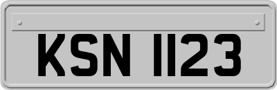 KSN1123