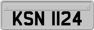 KSN1124