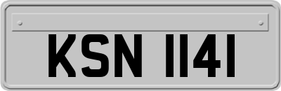 KSN1141