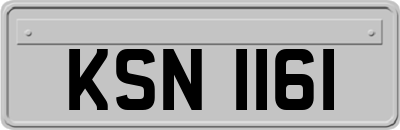 KSN1161